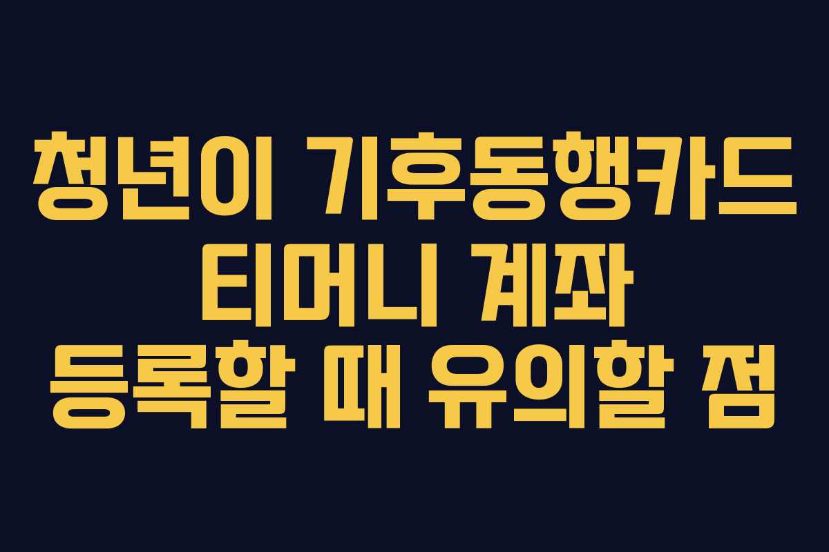청년이 기후동행카드 티머니 계좌 등록할 때 유의할 점