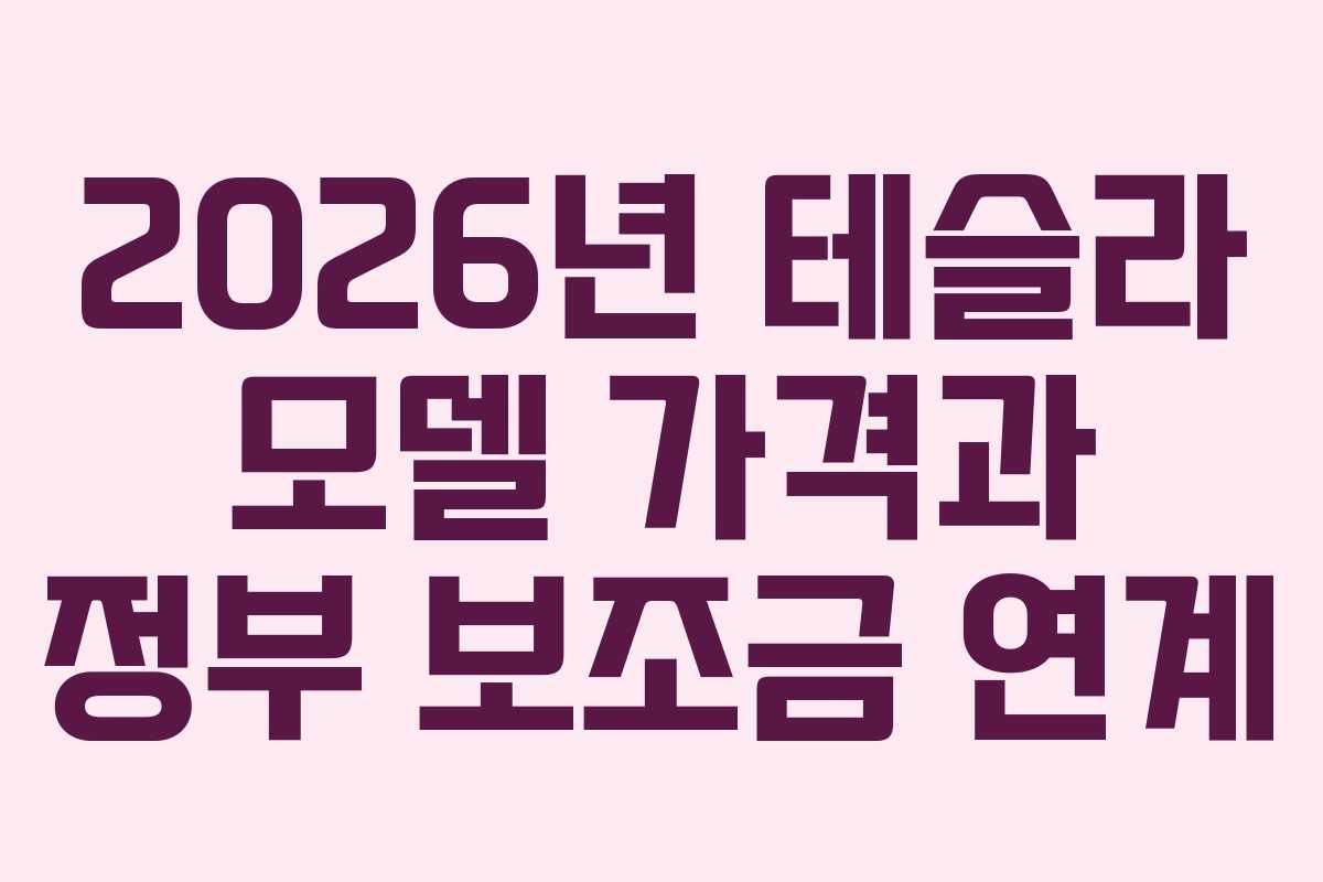 2026년 테슬라 모델 가격과 정부 보조금 연계