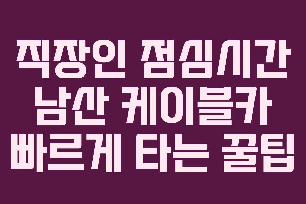 직장인 점심시간 남산 케이블카 빠르게 타는 꿀팁