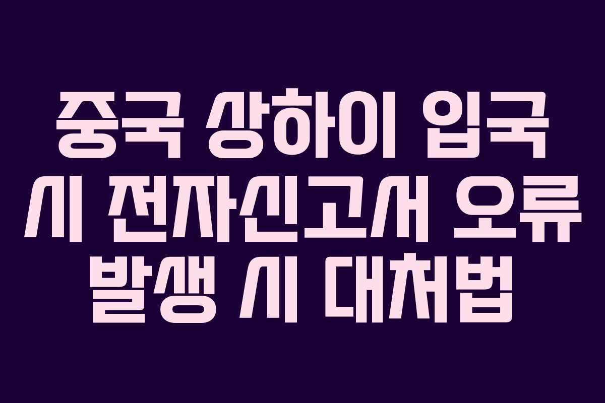 중국 상하이 입국 시 전자신고서 오류 발생 시 대처법