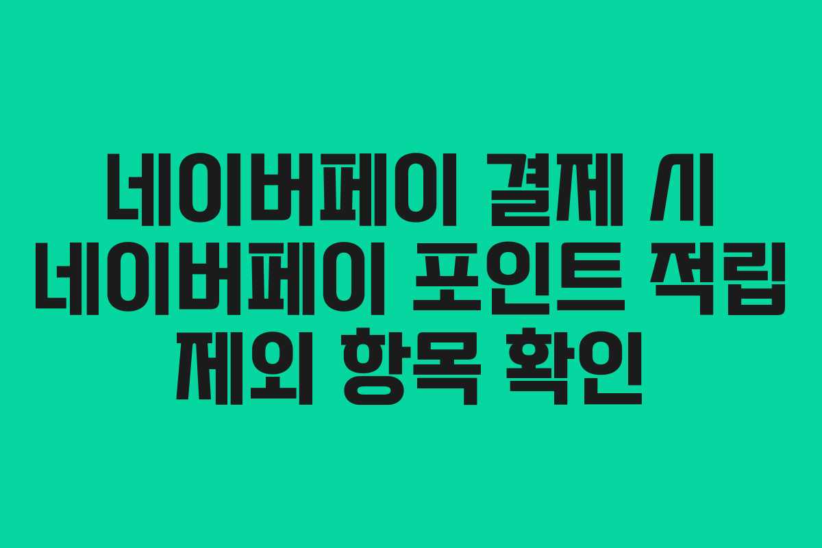 네이버페이 결제 시 네이버페이 포인트 적립 제외 항목 확인