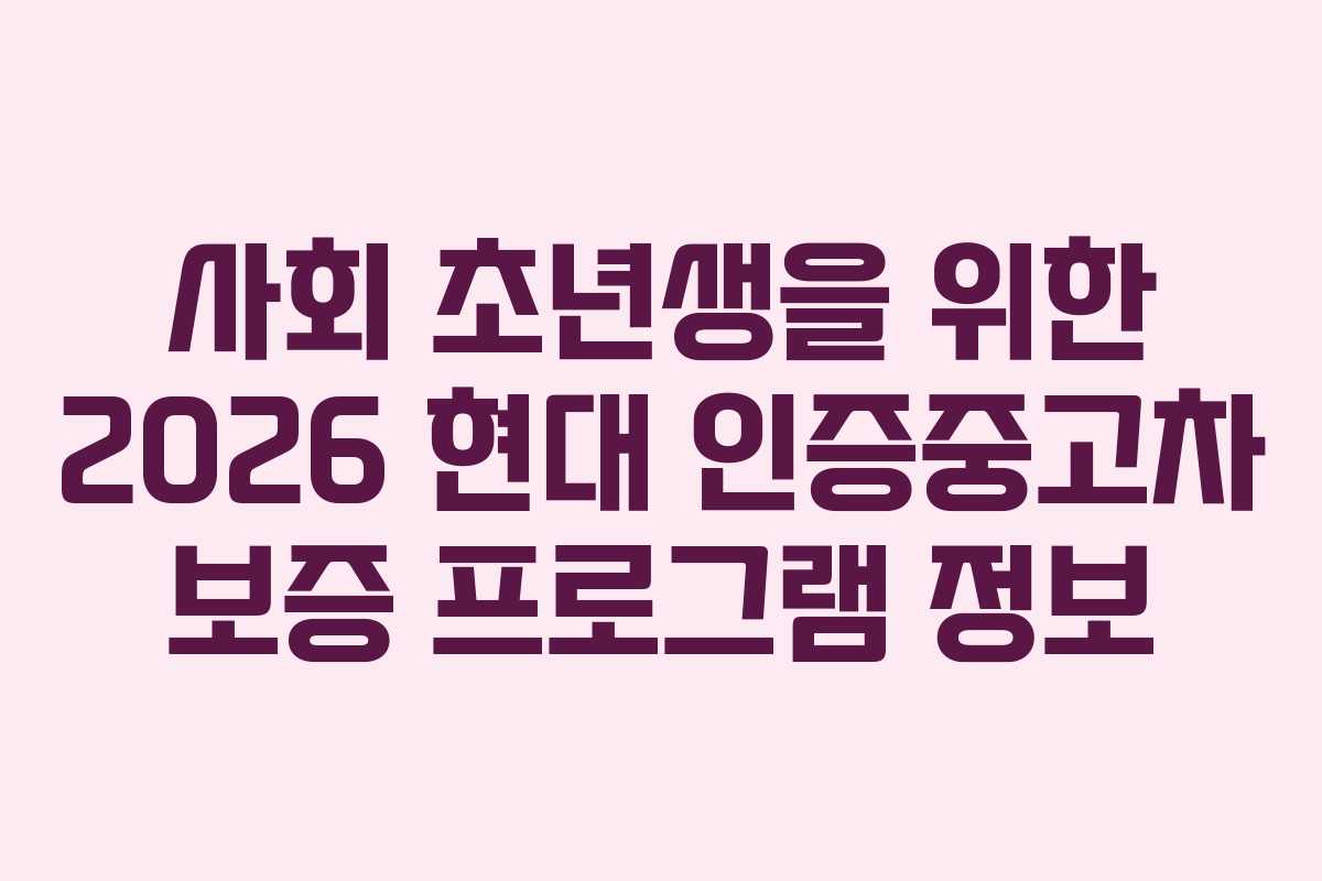 사회 초년생을 위한 2026 현대 인증중고차 보증 프로그램 정보