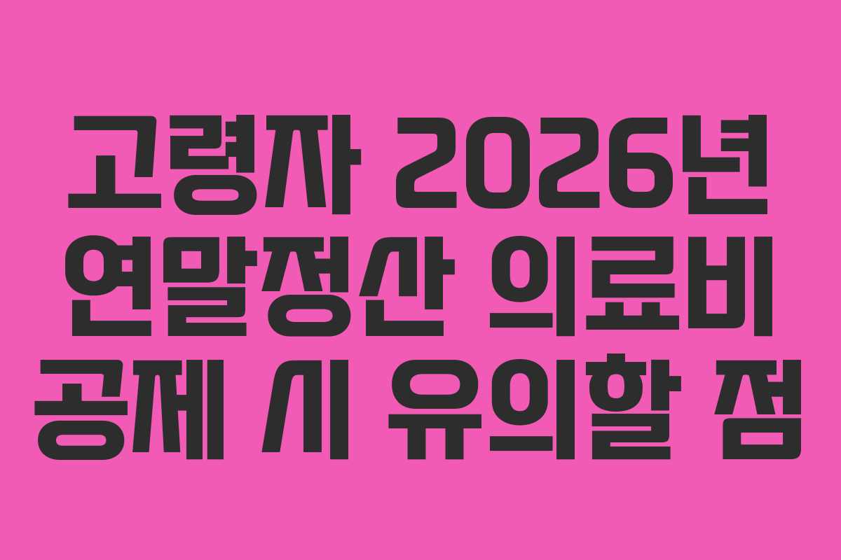 고령자 2026년 연말정산 의료비 공제 시 유의할 점