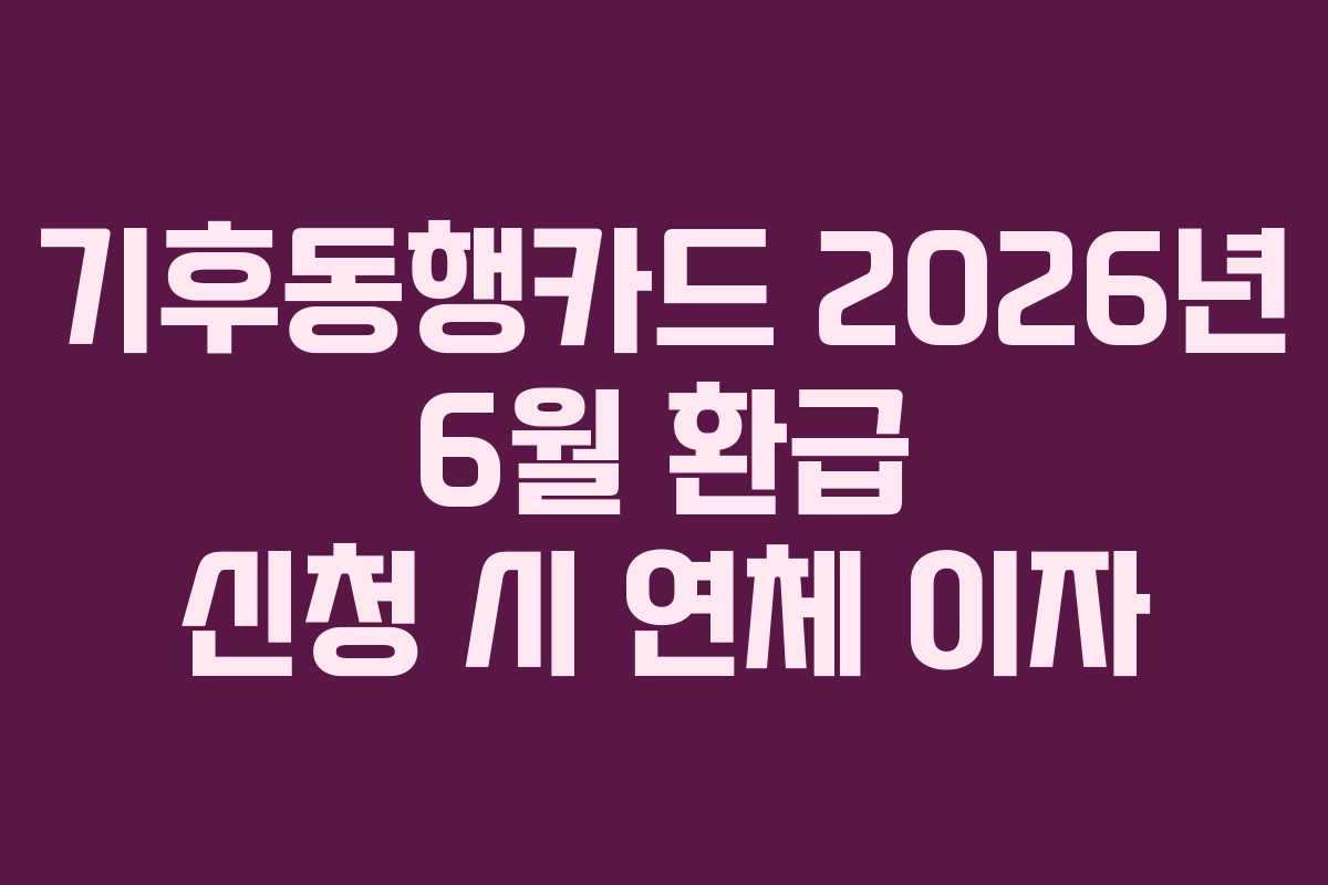 기후동행카드 2026년 6월 환급 신청 시 연체 이자