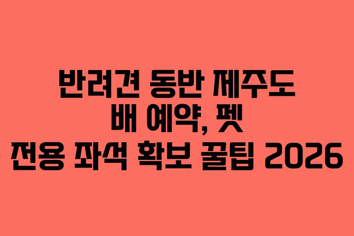 반려견 동반 제주도 배 예약, 펫 전용 좌석 확보 꿀팁 2026