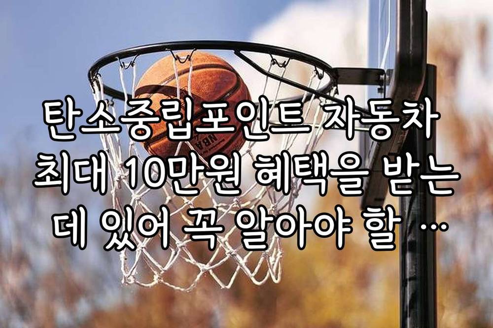 탄소중립포인트 자동차 최대 10만원 혜택을 받는 데 있어 꼭 알아야 할 최신 트렌드