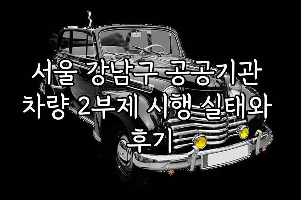 서울 강남구 공공기관 차량 2부제 시행 실태와 후기