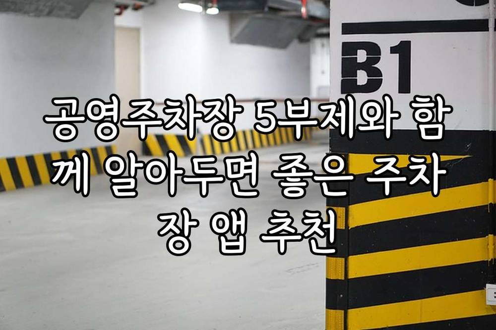 공영주차장 5부제와 함께 알아두면 좋은 주차장 앱 추천