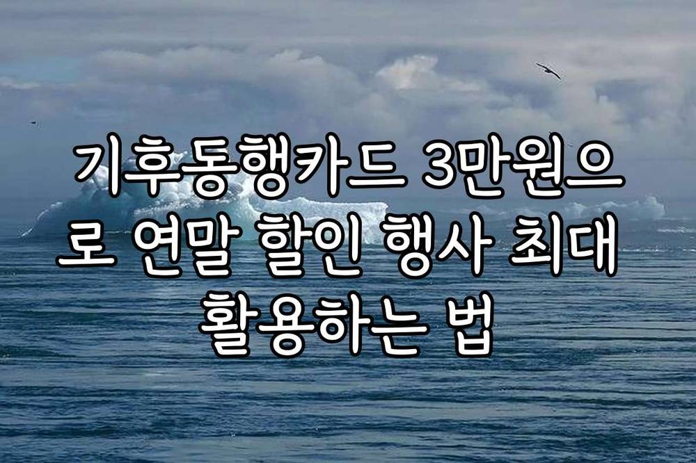 기후동행카드 3만원으로 연말 할인 행사 최대 활용하는 법