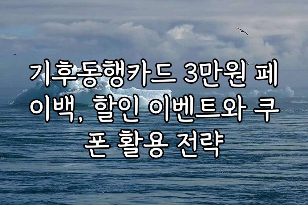 기후동행카드 3만원 페이백, 할인 이벤트와 쿠폰 활용 전략