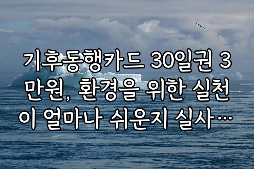 기후동행카드 30일권 3만원, 환경을 위한 실천이 얼마나 쉬운지 실사용 후기 공유