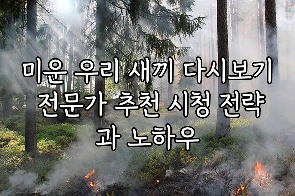 미운 우리 새끼 다시보기 전문가 추천 시청 전략과 노하우