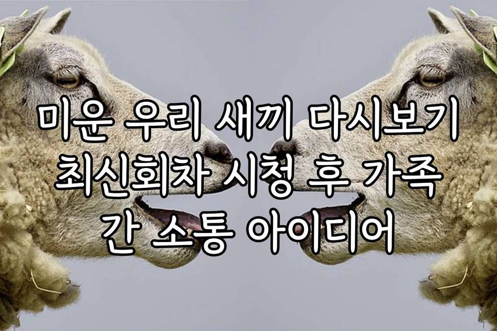 미운 우리 새끼 다시보기 최신회차 시청 후 가족 간 소통 아이디어