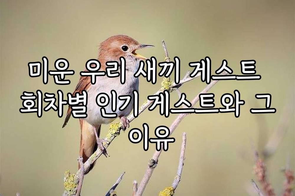 미운 우리 새끼 게스트 회차별 인기 게스트와 그 이유