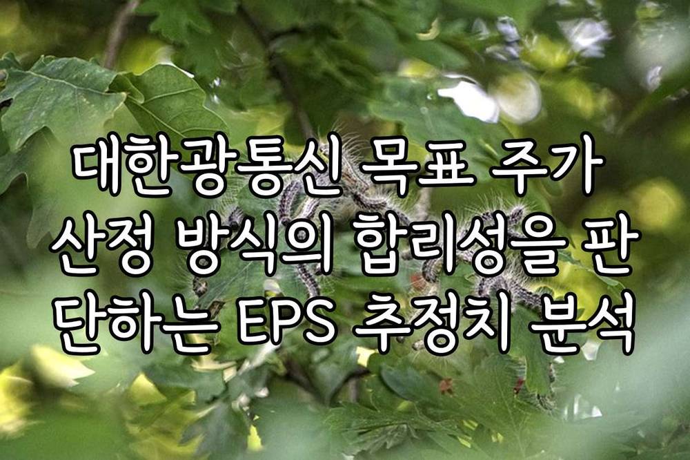 대한광통신 목표 주가 산정 방식의 합리성을 판단하는 EPS 추정치 분석