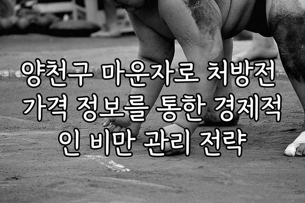 양천구 마운자로 처방전 가격 정보를 통한 경제적인 비만 관리 전략