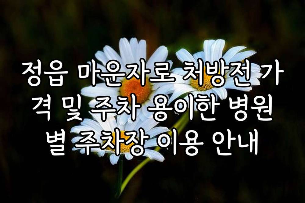 정읍 마운자로 처방전 가격 및 주차 용이한 병원별 주차장 이용 안내