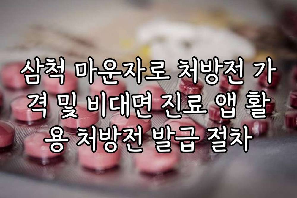 삼척 마운자로 처방전 가격 및 비대면 진료 앱 활용 처방전 발급 절차