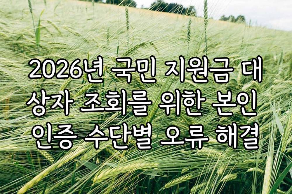 2026년 국민 지원금 대상자 조회를 위한 본인 인증 수단별 오류 해결