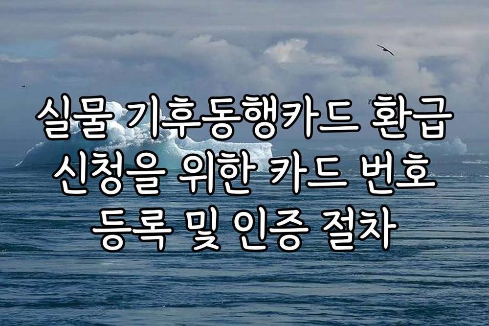 실물 기후동행카드 환급 신청을 위한 카드 번호 등록 및 인증 절차
