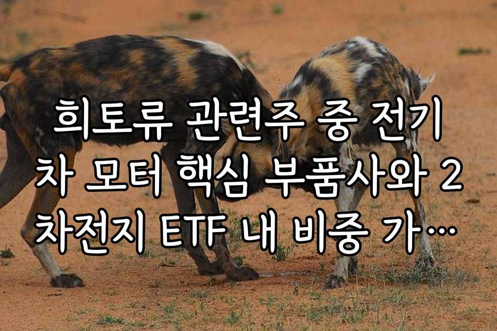 희토류 관련주 중 전기차 모터 핵심 부품사와 2차전지 ETF 내 비중 가이드
