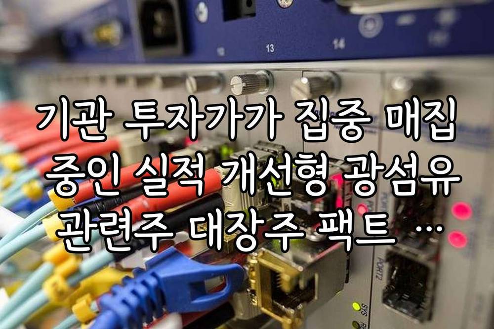 기관 투자가가 집중 매집 중인 실적 개선형 광섬유 관련주 대장주 팩트 체크
