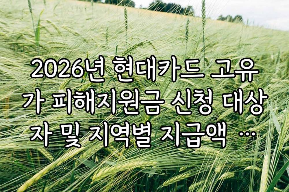 2026년 현대카드 고유가 피해지원금 신청 대상자 및 지역별 지급액 정보