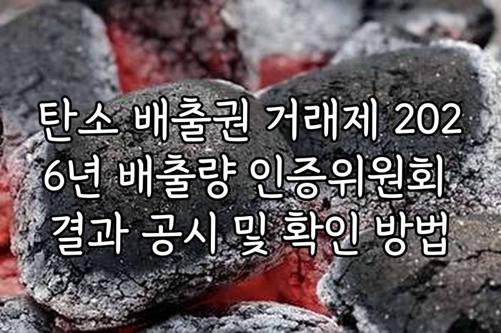 탄소 배출권 거래제 2026년 배출량 인증위원회 결과 공시 및 확인 방법