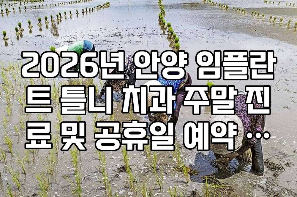 2026년 안양 임플란트 틀니 치과 주말 진료 및 공휴일 예약 가능처 확인