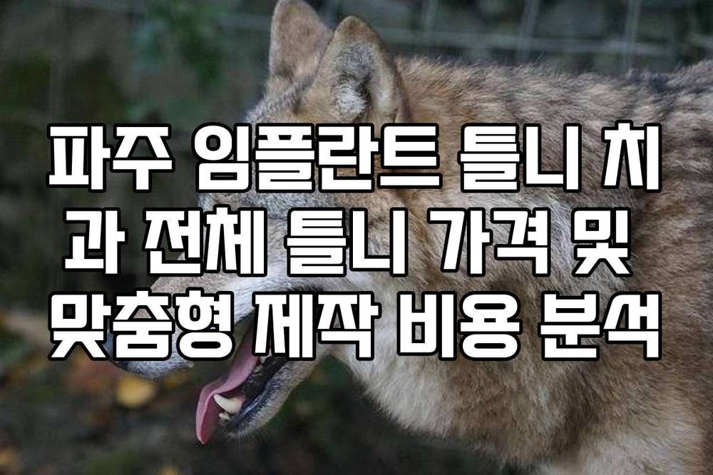 파주 임플란트 틀니 치과 전체 틀니 가격 및 맞춤형 제작 비용 분석