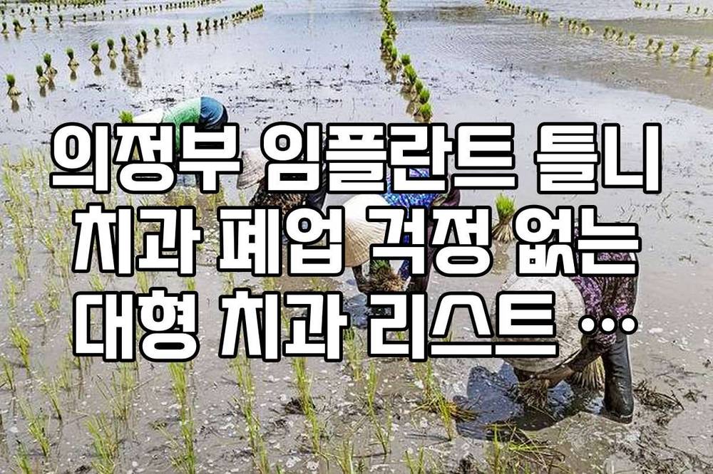 의정부 임플란트 틀니 치과 폐업 걱정 없는 대형 치과 리스트 가이드