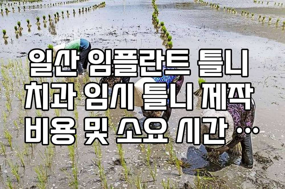 일산 임플란트 틀니 치과 임시 틀니 제작 비용 및 소요 시간 확인 방법