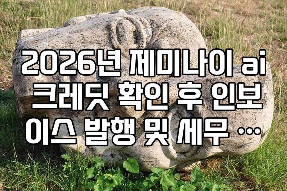 2026년 제미나이 ai 크레딧 확인 후 인보이스 발행 및 세무 처리 방법