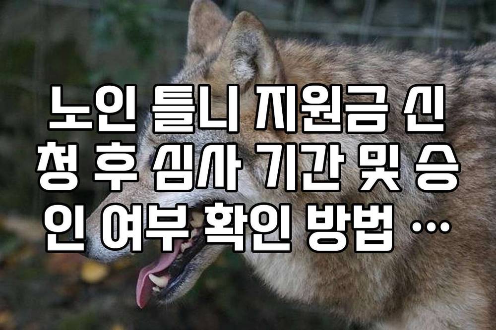 노인 틀니 지원금 신청 후 심사 기간 및 승인 여부 확인 방법 가이드