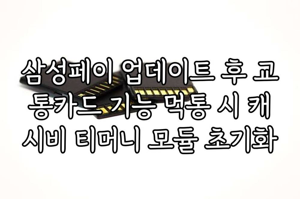 삼성페이 업데이트 후 교통카드 기능 먹통 시 캐시비 티머니 모듈 초기화