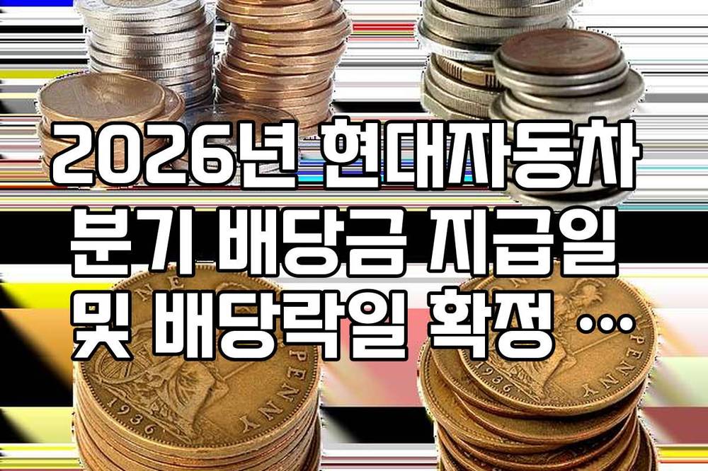 2026년 현대자동차 분기 배당금 지급일 및 배당락일 확정 일정