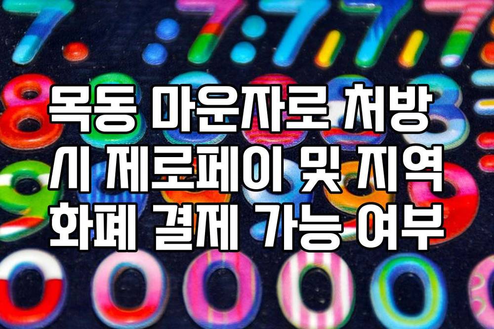 목동 마운자로 처방 시 제로페이 및 지역화폐 결제 가능 여부