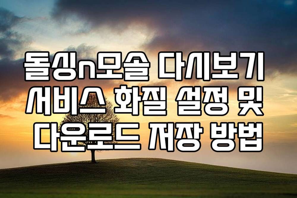 돌싱n모솔 다시보기 서비스 화질 설정 및 다운로드 저장 방법