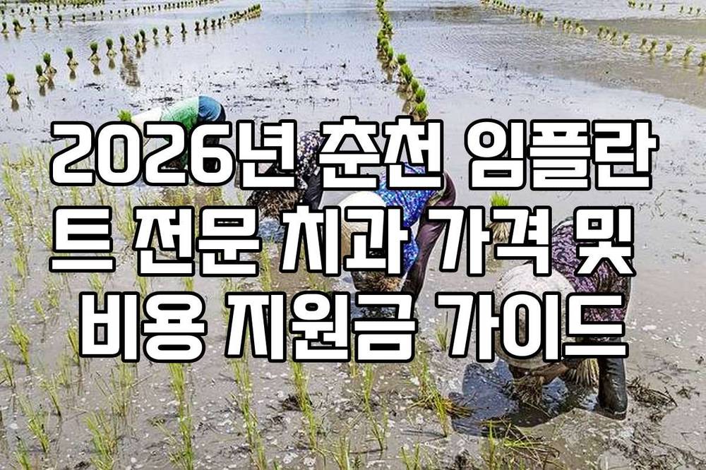 2026년 춘천 임플란트 전문 치과 가격 및 비용 지원금 가이드