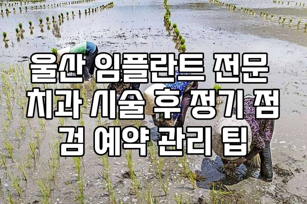 울산 임플란트 전문 치과 시술 후 정기 점검 예약 관리 팁
