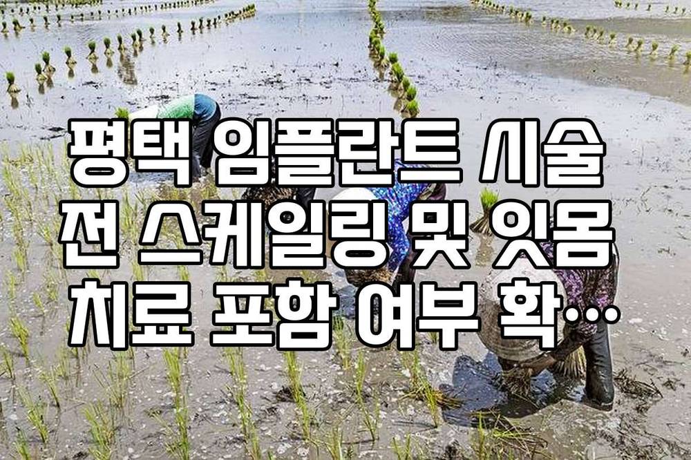 평택 임플란트 시술 전 스케일링 및 잇몸 치료 포함 여부 확인법