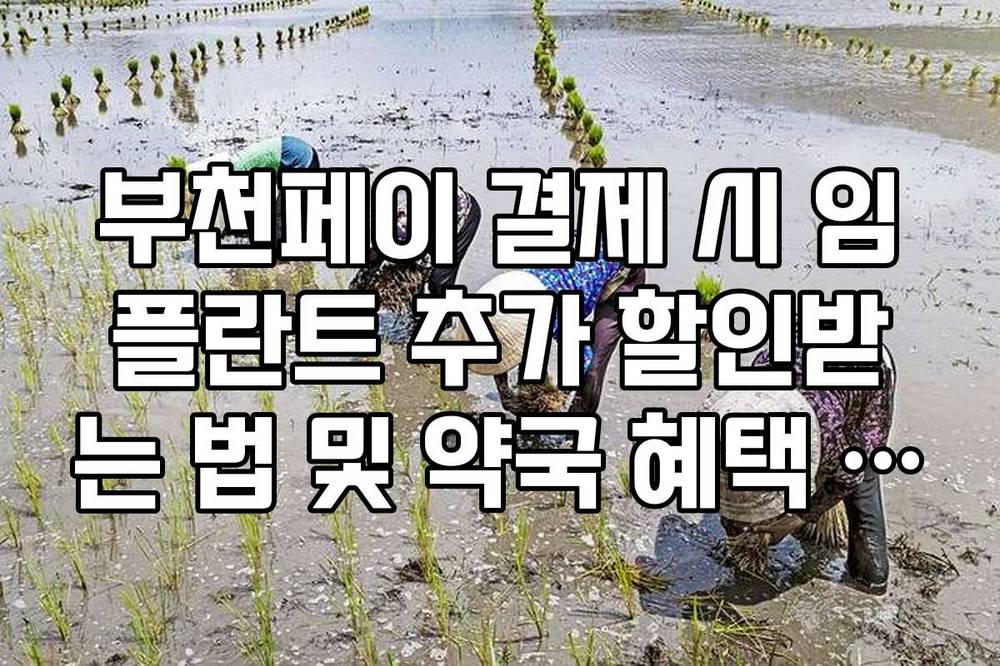부천페이 결제 시 임플란트 추가 할인받는 법 및 약국 혜택 정리