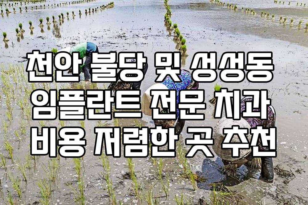 천안 불당 및 성성동 임플란트 전문 치과 비용 저렴한 곳 추천