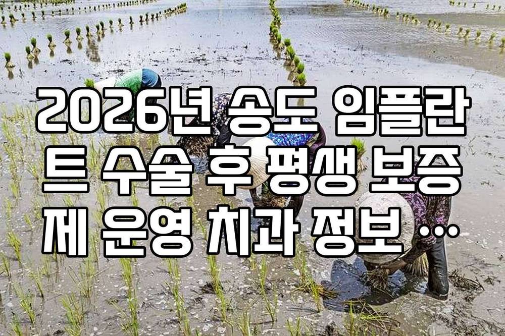 2026년 송도 임플란트 수술 후 평생 보증제 운영 치과 정보 리스트