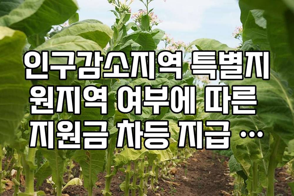 인구감소지역 특별지원지역 여부에 따른 지원금 차등 지급 실무 지침