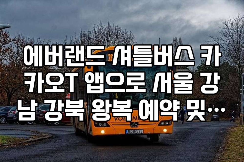 에버랜드 셔틀버스 카카오T 앱으로 서울 강남 강북 왕복 예약 및 결제법