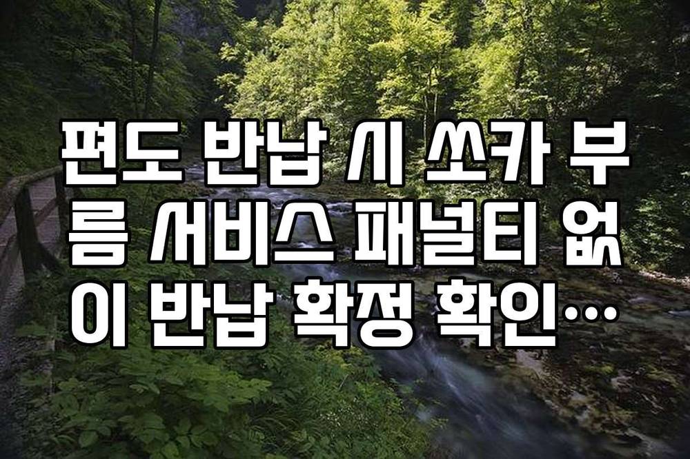 편도 반납 시 쏘카 부름 서비스 패널티 없이 반납 확정 확인하는 법