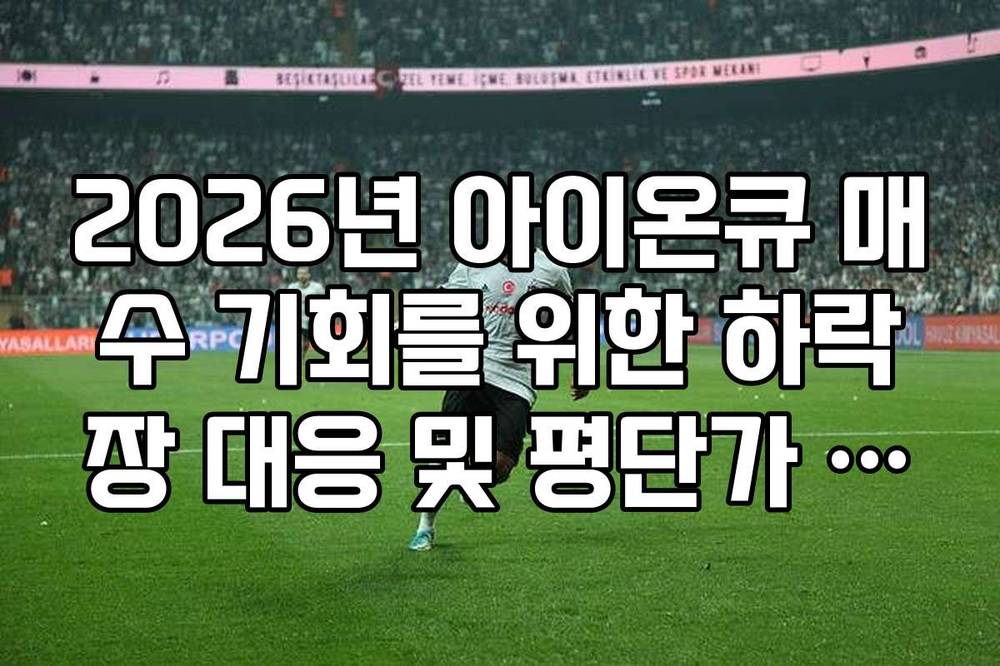 2026년 아이온큐 매수 기회를 위한 하락장 대응 및 평단가 관리 팁