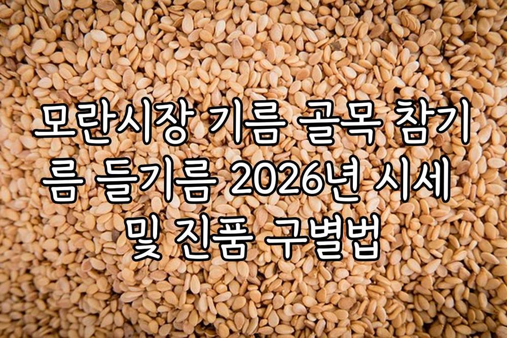 모란시장 기름 골목 참기름 들기름 2026년 시세 및 진품 구별법