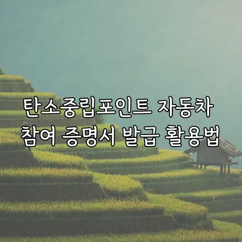 탄소중립포인트 자동차 참여 증명서 발급 활용법